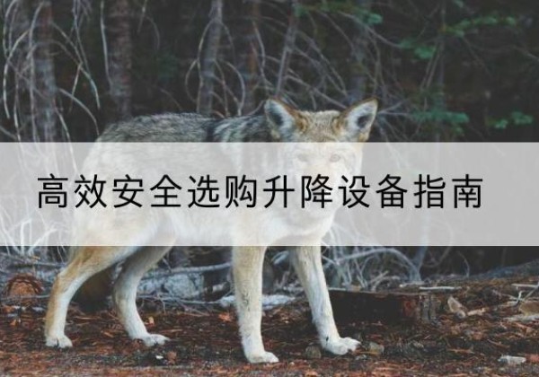 凯里升降货梯厂家推荐-*安全选购升降设备指南