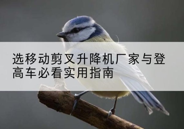 凯里电动升降机厂家-选移动剪叉升降机厂家与登高车必看实用指南