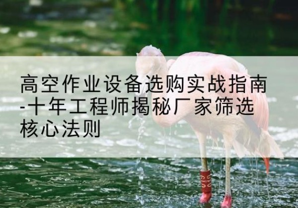 凯里剪叉式升降机厂家-高空作业设备选购实战指南-十年工程师揭秘厂家筛选核心法则